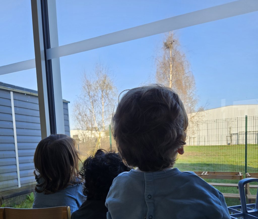 Lire la suite à propos de l’article Observer la nature à hauteur d’enfant : une fenêtre ouverte sur le monde